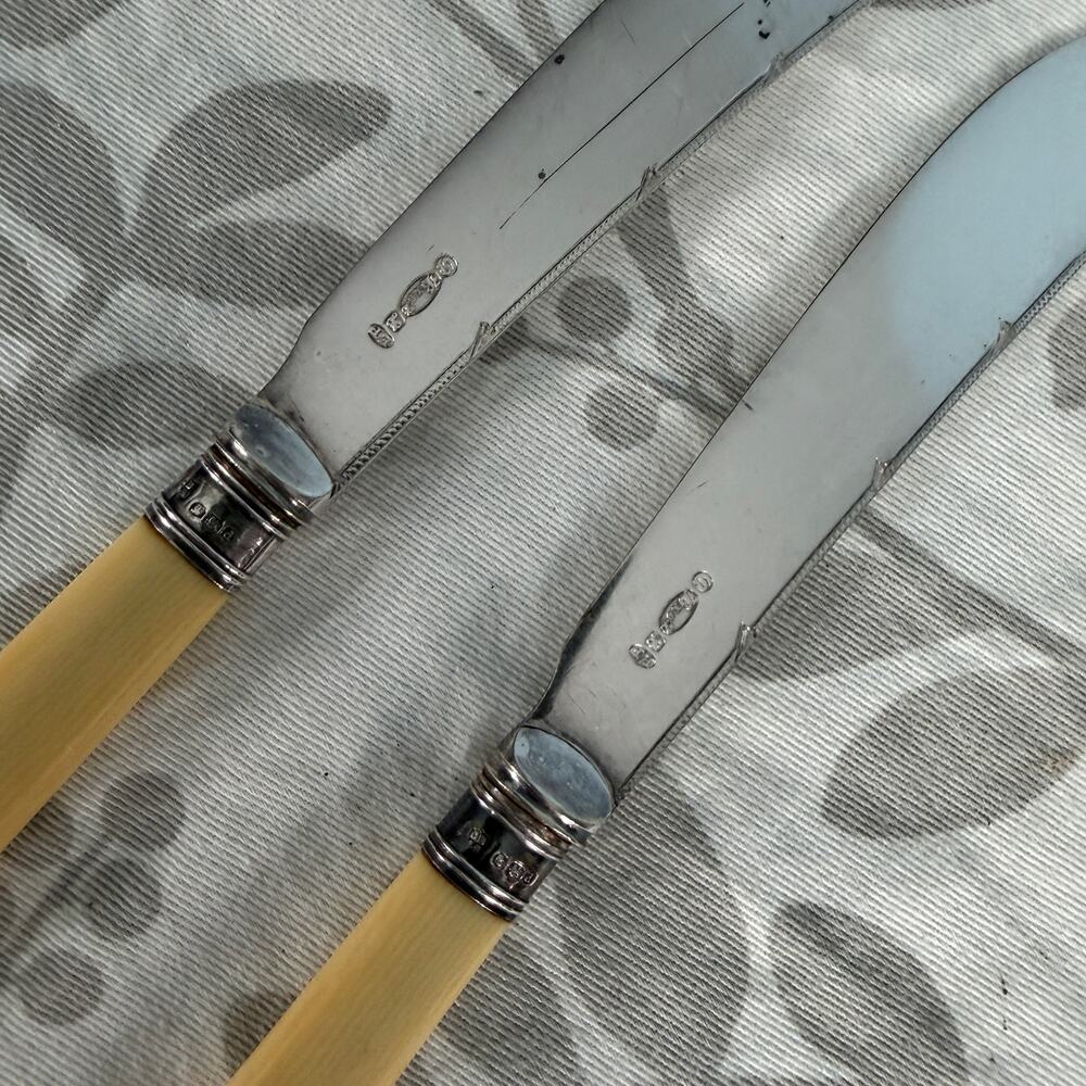 Vintage EPNS Luncheon Cheese Knives Set 2 Faux Bone Cream Handles